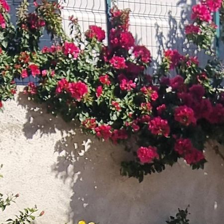 Vila Megi-Rent Room Vlorë Exterior foto