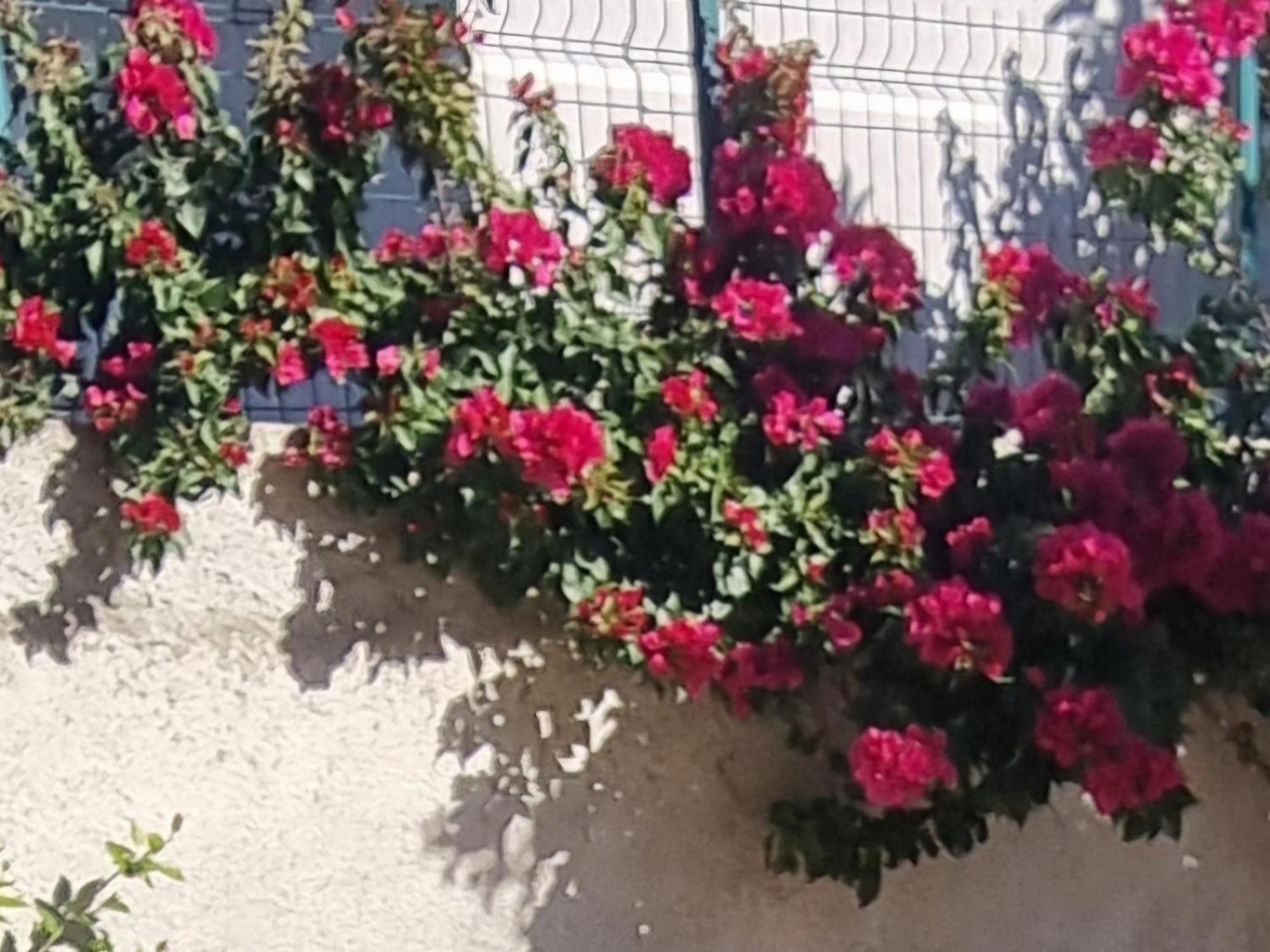 Vila Megi-Rent Room Vlorë Exterior foto